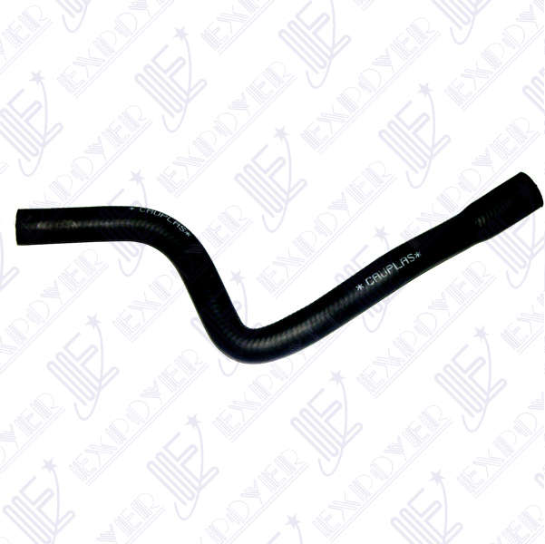 CAÃO DE BOMBA A TUBO        -4173- ESCORT/ORION