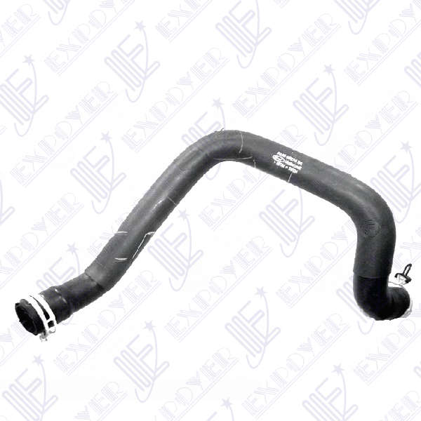 CAÃO SUP RADIADOR          -3469-  FOCUS DURATEC