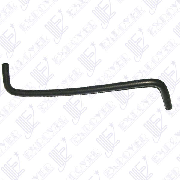 CAÃO REBOSE INF.            -4463- TRANSIT