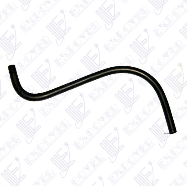 CAÃO REBOSE SUP.            -4464- TRANSIT