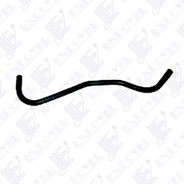 CAÃO REBOSE -ENTRADA        -4013- FIESTA 95 S/A-A