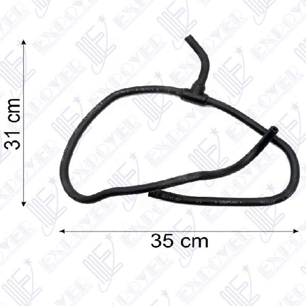 CAÃO REBOSE DEPOSITO       -3475-  FIESTA DIESEL