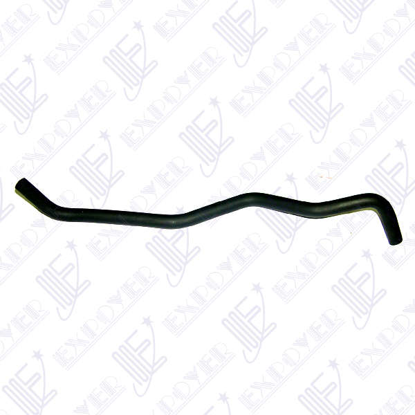 CAÃO DE REBOSE              -4091- FOCUS