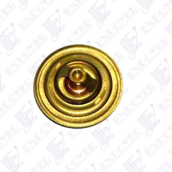 TERMOSTATO (1309.82)        -MLH-MOTOR V8       **