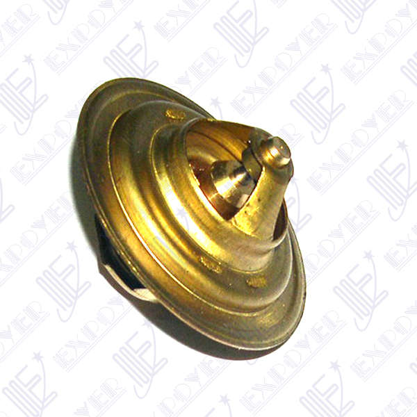 TERMOSTATO  (1309.72)       -MLH-V8             **