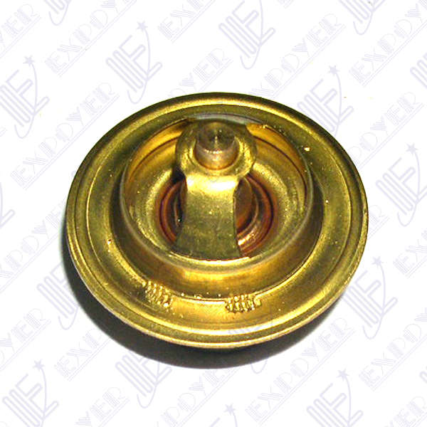 TERMOSTATO 88Âº                     SIERRA 1.6