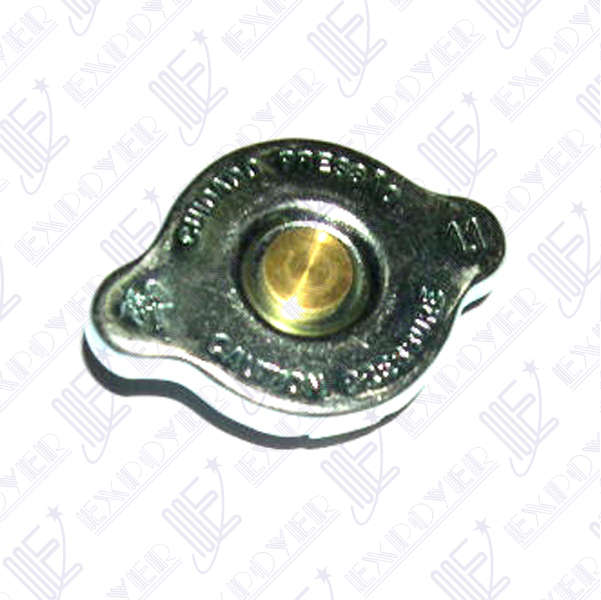 TAPA RADIADOR                    F-100/RANGER97/**