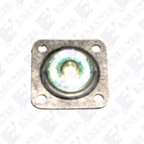 DIAFRAGMA B/PIQUE                  TAUNUS 2.3