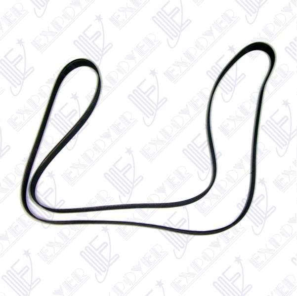 CORREA 6PK-1900                 -HUTCHINSON-    **