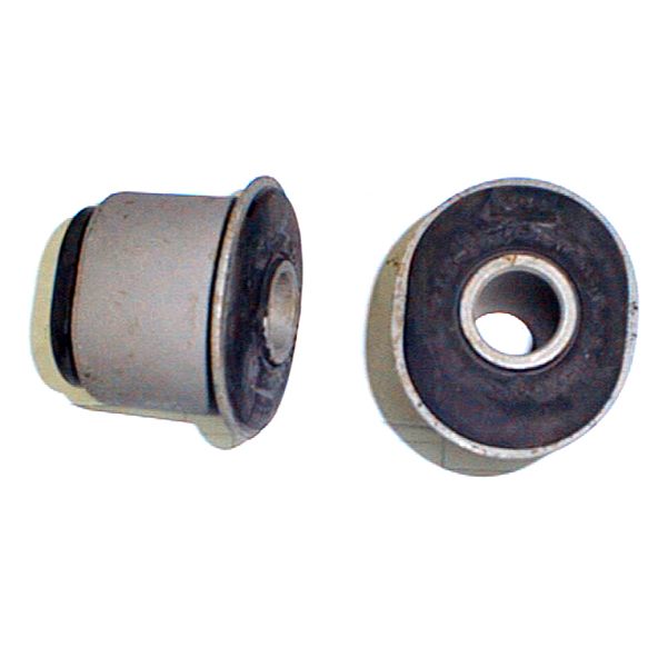 BUJE PIVOT CENTRAL OVALADO         F-100