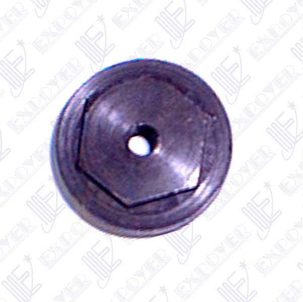 TAPON PUNTA DE EJE                 F-100