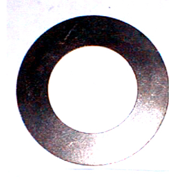 ARANDELA PLANETARIO (DANA 44)      F-100 78/