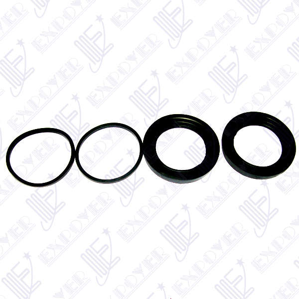 JUEGO REP. PISTON FRENO (54mm)       F-100 95/