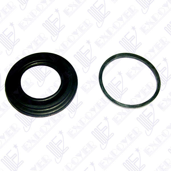 JUEGO REP. PISTON FRENO (48mm)       FIESTA 95 -KA