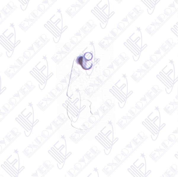 LEVA CILINDRO DE PUERTA IZQ.       FALCON 82/89