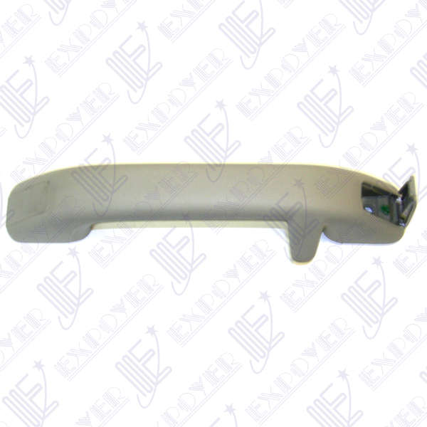 AGARRRADERA TECHO -GRIS-               FIESTA/KA**