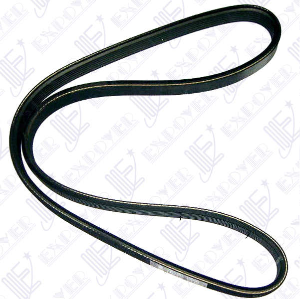 CORREA 6PK-884                   -HUTCHINSON-   **