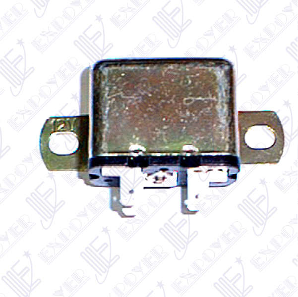 RELAY BOCINA (103)-RALUX-                 F-100/**