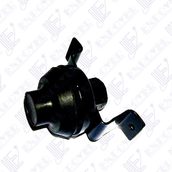 BOMBA LAVAPARABRISAS (PIE)         F-100