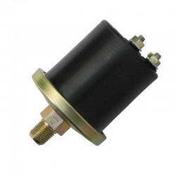 BULBO PREC.AC.EITE. F100 MWM-CAM.C/AL