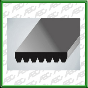 Correa Poly V de (7PK) 7 canales y un diametro de (1545) 1545 mm.