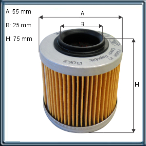 FILTRO DE ACEITE PARA MOTOS BMW (UE1)