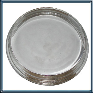 LENTE DE FAROS AUXILIARES FORD ECOSPORT (07/...)  PARA 981 D/I  CAJA CON 21 UNID.