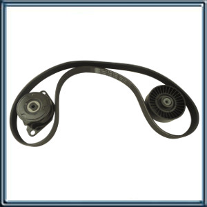 KIT POLY-V VOLKSWAGEN/SEAT MOTORES 1.9 TDI C/DH/AA: PASSAT 1.9 TDI 1Z 02.1995 HASTA 10.199// GOL 1.9D EA086 1.9 SD 1Y 04.1998 HASTA 02.1998//GOL 1.9DEA086 1.9SD 1Y 05.2002 HASTA 10.2009// POLO1.9D EA086 1.9 SD 1Y 01.2001 HASTA 11.2009// Y OTRO HASTA 09.20