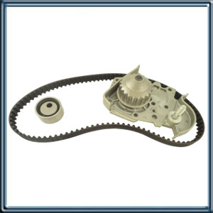 RENAULT MEGANE 1.6 MOTOR K7M 702.703.790 DESDE 01/96 HASTA 08/03 Â¿INCLUYE BOMBA DE AGUA CONTIENE VKM 16000 095SP170H VKPC96415A