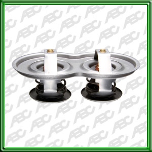 TERMOSTATO LIINEA PESADA : SCANIA