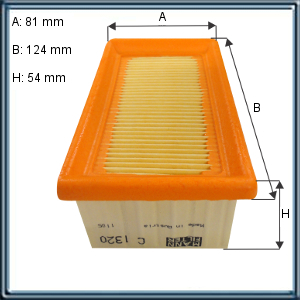 FILTRO DE AIRE PARA MOTOS BMW (UE6)