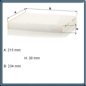 FILTRO POLEN RANGER 12/---