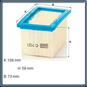 FILTRO DE AIRE PARA MOTOS BMW (UE1)