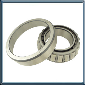 RODAMIENTO RUEDA PESADO. EJE TRASERO RUEDA INTERIOR. FIAT-IVECO EUROCARGO 140E18: EUROCARGO 320E18