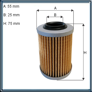 FILTRO DE ACEITE PARA MOTOS CAN-AM (UE10)