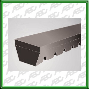 Correa Trapezoidal de (11A) 11 mm de ancho y (1130C) 1130 mm de diametro.